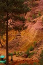 Free Red Rock, Pine Wood And Crane Stock Images - 3656174
