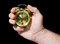 Free Alarm Clock In A Hand Royalty Free Stock Photos - 3656408