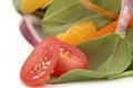 Free Juicy Tomatoes Stock Photo - 3660270
