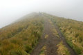 Free Andes Paramo Stock Photography - 3660932
