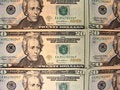 Free US 20 Dollars Bills Royalty Free Stock Photo - 3661895