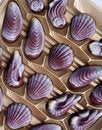 Free Chocolate Box Royalty Free Stock Photo - 3664235