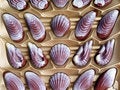 Free Chocolate Box Stock Photos - 3664253