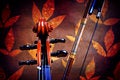 Free Violin Details Stock Images - 3675254