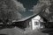 Free Infrared Photo – Tree, Old House And Cloud Royalty Free Stock Photo - 3677775