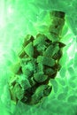 Free Ice Ice Royalty Free Stock Photo - 3687445