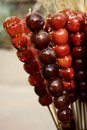 Free Tomatoes On Sticks Royalty Free Stock Photos - 3688198