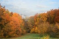 Free Nature At The Fall Season Autumn Royalty Free Stock Photo - 3696005