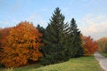 Free Nature At The Fall Season Autumn Royalty Free Stock Images - 3696449