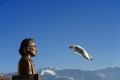 Free Statue Looks The Bird Stock Image - 376281