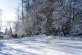 Free Swiss Cottage In The Forest Royalty Free Stock Photography - 376567