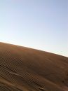 Free Animal Footstep On A Dune Royalty Free Stock Image - 378936