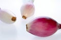 Free Tropea Onions Royalty Free Stock Photos - 3708078