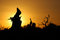 Free Sunrise Mulei Stock Photography - 3703152