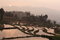 Free Sunset By The Terrace Fields Royalty Free Stock Image - 3705866