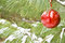Free Chirstmas Bulb Stock Photos - 3709243