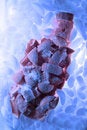 Free Ice Ice Royalty Free Stock Images - 3712559