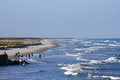 Free Beach Erosion Royalty Free Stock Photo - 3725195