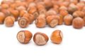 Free Hazel Nuts Isolated Stock Photos - 3729743