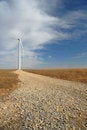Free Great Plains Wind Farm Royalty Free Stock Photos - 3733468