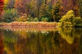 Free Autumn Lake Royalty Free Stock Photography - 3738197
