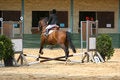 Free Horse Running Royalty Free Stock Image - 3741626