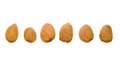 Free Almonds In Shell Stock Photos - 3743313