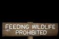Free Feeding Wildlife Roadsign Stock Image - 3745401