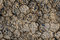 Free Cracked Barren Land Stock Image - 3743901