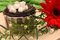 Free Decorated Chocolate Cup Cake Stock Photo - 3744790