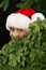 Free Christmas Girl Peeking Royalty Free Stock Photography - 3747347