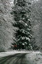 Free Carpathians Royalty Free Stock Photo - 3759695