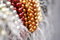 Free Colorful Pearl Strands Royalty Free Stock Images - 3751219
