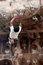 Free Mountain Climber 3 Royalty Free Stock Images - 3761209