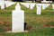 Free White Tombstones Stock Photography - 3761842