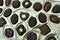 Free Chocolates Royalty Free Stock Photos - 3763208
