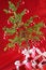 Free Red Christmas Tree, Red Presents Royalty Free Stock Photos - 3765808