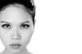 Free Seductive Stare Royalty Free Stock Images - 3783519