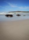 Free Untouched Sands Royalty Free Stock Photography - 389617