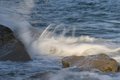 Free Surf Stock Photography - 3802162