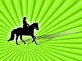 Free Equitation Royalty Free Stock Photography - 3807237