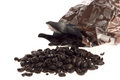 Free Coffee Beens Stock Photography - 3808562
