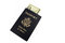 Free US Passport And Twenty Dollar Bills Stock Images - 3804854