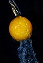 Free Tangerine Freshness Motion In Cold  Water Stock Images - 3815324