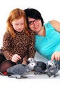 Free Red Tale Parrot On White With Female And Girl Royalty Free Stock Photo - 3819645