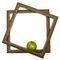 Free Green Apple In Green Scopes Royalty Free Stock Photography - 3815527