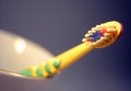 Free Tooth-brush Royalty Free Stock Image - 3820356