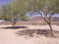 Free Arizona Rest Areas I-10W  Two Stock Photography - 3821622