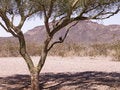 Free Arizona Rest Areas I-10W Four Stock Image - 3821641