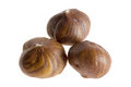 Free Close-up Of Hazel Nuts Stock Photo - 3823600